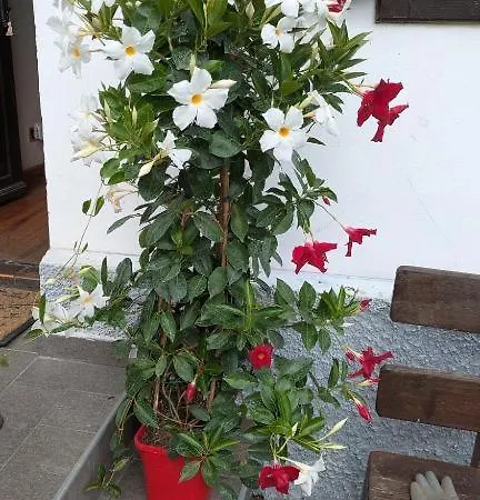 Il Giardino Dell'eden Apartamento Caprile (Veneto)